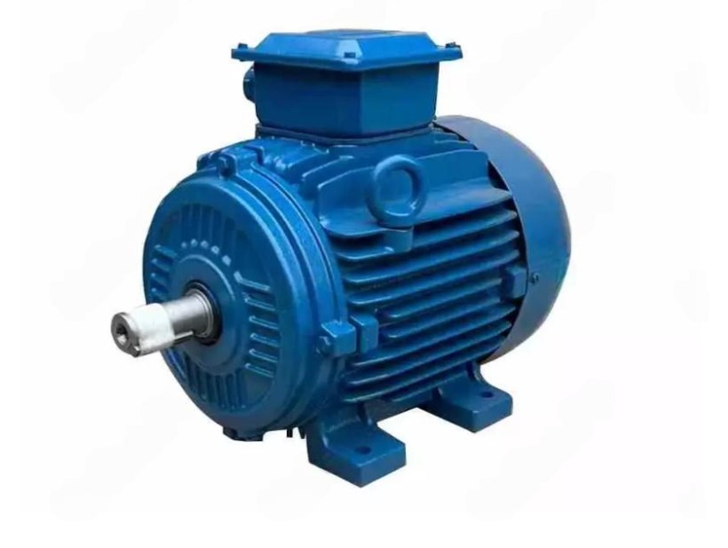 Электродвигатель W22 80 8P 0,25кВт IE1